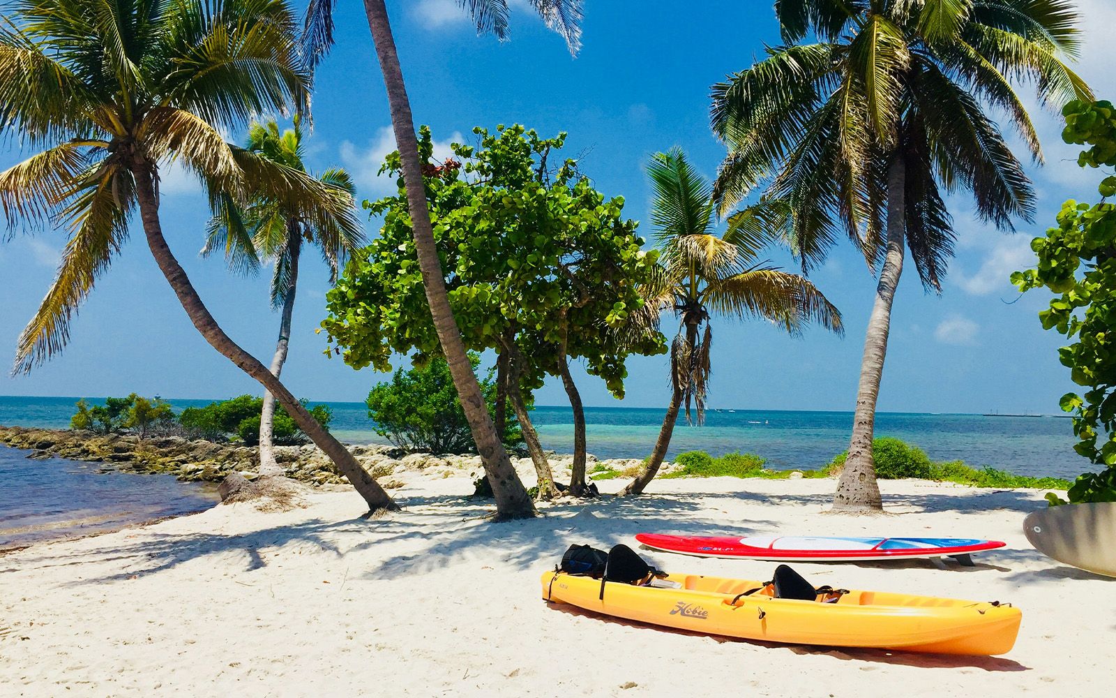 Palm-lined beach with kayak and paddleboard, Key West