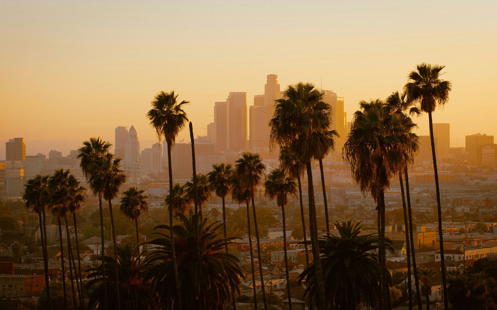 Downtown Los Angeles skyline through palm trees at sunset