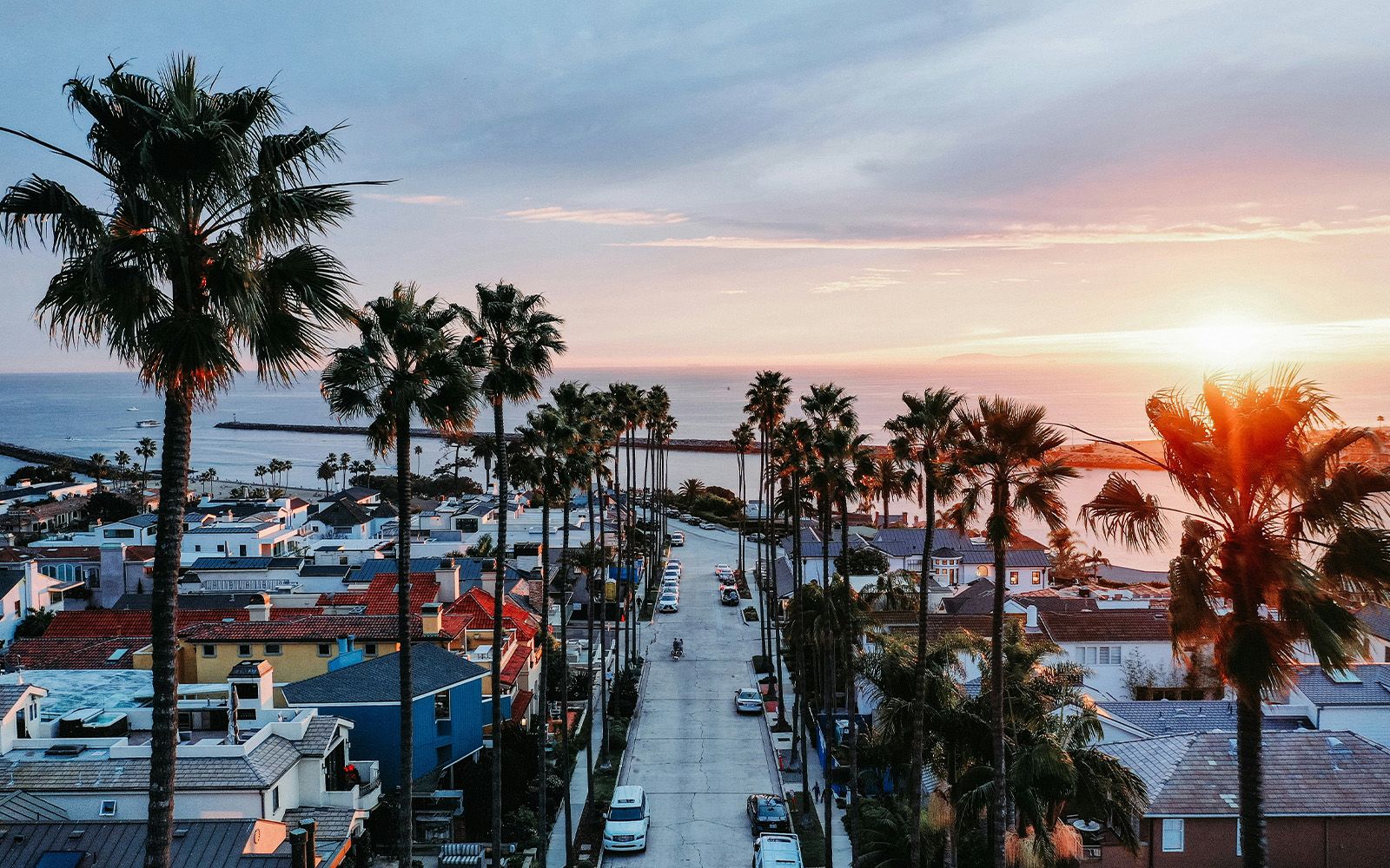 Palm-lined street to the harbor entrance, Newport Beach