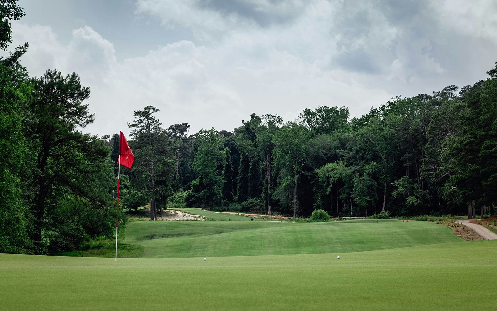 Golf green with a red flag among Sandhills pines