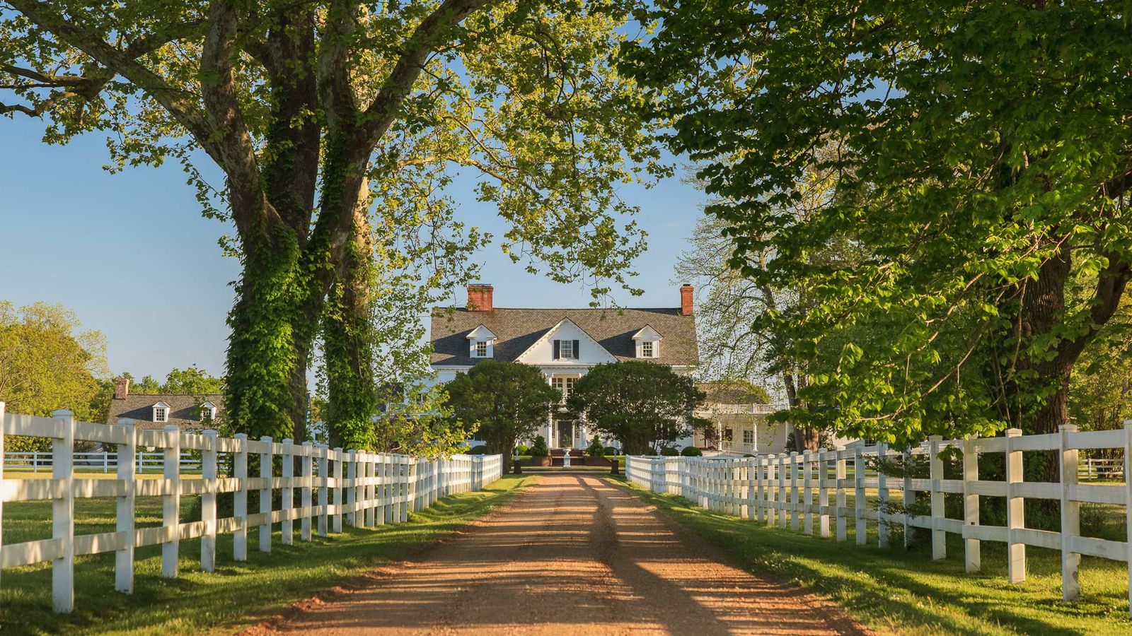 Tree-lined drive leading to the inn
